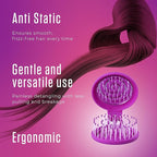 Mini Detangler Travel Hair Brush with Mirror, Makaron Hair Brushes for Women, Men and Kids, Unique 3D Flexible Design for All Hair Types, Styling Accessory, Travel Essentials for Women (PURPLE)