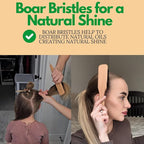 GranNaturals Smoothing & Styling Middle Part Boar Bristle Slick Back Hair Brush w/Narrow Metal Rat Tail End for Sectioning and Parting Sleek Ponytail Bun - Teasing, Backcombing, Edge Control