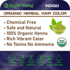 100% Organic Henna Hair Color – Natural, Chemical-Free Hair Dye for Rich, Vibrant Color & Gloss – Grey Coverage, Safe for All Hair Types, Vegan Non-Toxic, Herbal Hair Treatment (INDIGO)