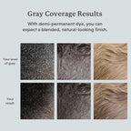 Hair & Beard Color for Blending Grays 2 pack - Dark Natural Copper Blonde - Ammonia-Free Complete Men’s At-home Beard & Hair Dye Kit, Professional-grade Demi-Permanent Hair Color (7.04)