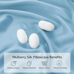 INFIIXSO Mulberry Silk Pillowcase for Hair and Skin, Silk Pillow Cases Standard Size with Hidden Zipper 20x26 Inches, Super Smooth and Soft Cooling Pillow Cases for Hot Sleepers(Light Blue, 1 Pack)
