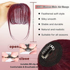 NAYOO Clip in Bangs - 100% Human Hair Wispy Bangs Clip in Hair Extensions, Red Air Bangs Fringe with Temples Hairpieces for Women Curved Bangs for Daily Wear