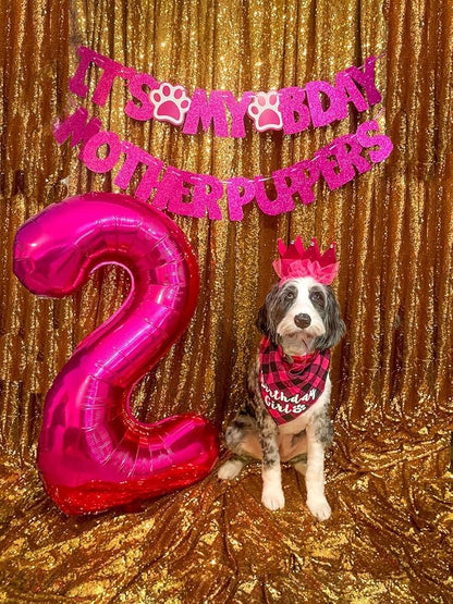 Number Balloons 2 Balloon 40 inch Hot Pink - Image 3