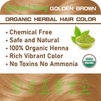 100% Organic Henna Hair Color – Natural, Chemical-Free Hair Dye for Rich, Vibrant Color & Gloss – Grey Coverage, Safe for All Hair Types, Vegan Non-Toxic, Herbal Hair Treatment (GOLDEN BROWN)