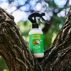 Locsanity Grapefruit Coconut & Lime Daily Moisturizing Spray Fine Mist - 8 fl oz: Hydrating Mist for Locs, Hair Growth, and Daily Moisturizing Refreshing Spray for Dreads & Braids
