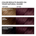 L'Oreal Paris Feria Multi-Faceted Shimmering Permanent Hair Color, Chocolate Cherry, Hair Dye Kit, Pack of 2