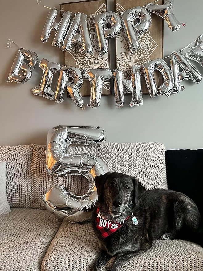6 Balloon Numbers Party Decorations, 40In Silver Balloons - Image 4