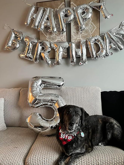 6 Balloon Numbers Party Decorations, 40In Silver Balloons - Image 4