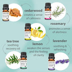 PURA D'OR Organic Perfect10 Essential Oils Set - 10x 10mL Wood Box Aromatherapy Gift Set - 100% Pure Therapeutic Grade for Relaxation and Wellness (Lavender, Peppermint, Eucalyptus, Tea Tree & More)