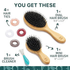 Natural Boar Bristle Hair Brush & Mini Hair Brush Set for Women, Men, Kids; Dry and Wet Detangling Hair Brush Gently Enhances Shine, Great for travel or to keep in your bag