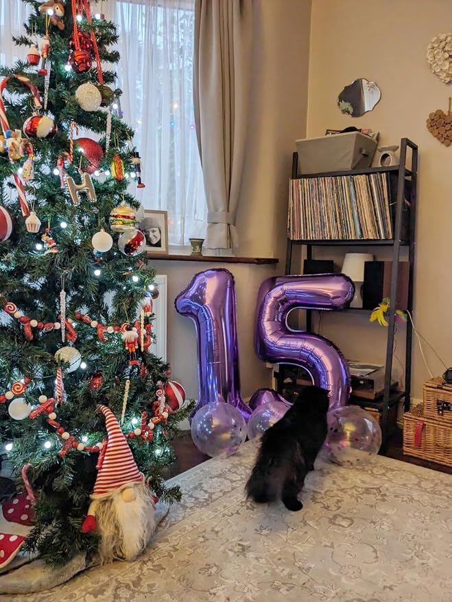 25 Balloon Numbers 40Inch for 25th Men Women Birthday Decorations, Inflation - Image 2
