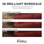 L'Oreal Paris Feria Multi-Faceted Shimmering Permanent Hair Color, 56 Brilliant Bordeaux (Auburn Brown), Pack of 1 Hair Dye Kit