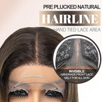 Glueless Synthetic Lace Front Wig 26 Inches Long Straight 13x5x1 HD Lace Wigs for Black Women (4/27 Highlight, 26 Inch)