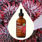 Plant Therapy Organic Castor Oil 4oz - 100% Pure & Natural Grade for Nourishing Hair and Skin Treatment - Cold Pressed - USDA Certified - Hexane Free - Stimulates Hair Growth, Treats Dry Skin