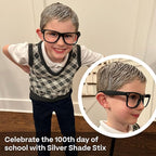 Hally Hair Temporary Hair Color, Shade Stix (Silver) - Hair Makeup Accessories for Kids, Teens & Adults - 12 ml Washable Hair Chalk & Dye for Festivals, Sporting Events & Parties