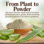 Aloe Vera Leaf Powder – 227g | 100% Pure & Natural | for Skin, Face, Hair & DIY Beauty Masks | Cooling Hydration, Moisturizer & Scalp Soother