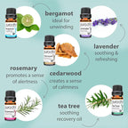 PURA D'OR Organic Sweet16 Essential Oils Set - 16x 10mL Wood Box Aromatherapy Gift Set - 100% Pure Therapeutic Grade for Relaxation and Wellness (Lavender, Rosemary, Turmeric, Ylang Ylang & More)