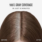 Madison Reed Root Perfection Permanent Root Touch Up, Light Brown 7N Alba, 10 Minutes for 100% Gray Root Coverage, Ammonia-Free Hair Dye, Two Applications
