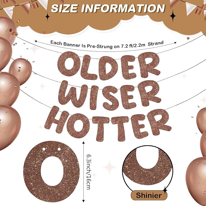 Fulmoon Set of 3 Pre Strung Older Wiser Hotter Glitter Banner Funny Birthday - Image 3