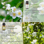 yethious Jasmine Gardenia Essential Oil Set 100% Pure Gardenia Fragance Oil Jasmine Aromatherapy Oils for Diffuser - 2 Pack 10ML