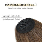 BOGSEA Clip in Bangs 100% Human Hair Bangs with Temples Bangs Hairpieces for Women Clip in Fake Bangs for Daily Wear (Light Brown, Wispy Bangs)