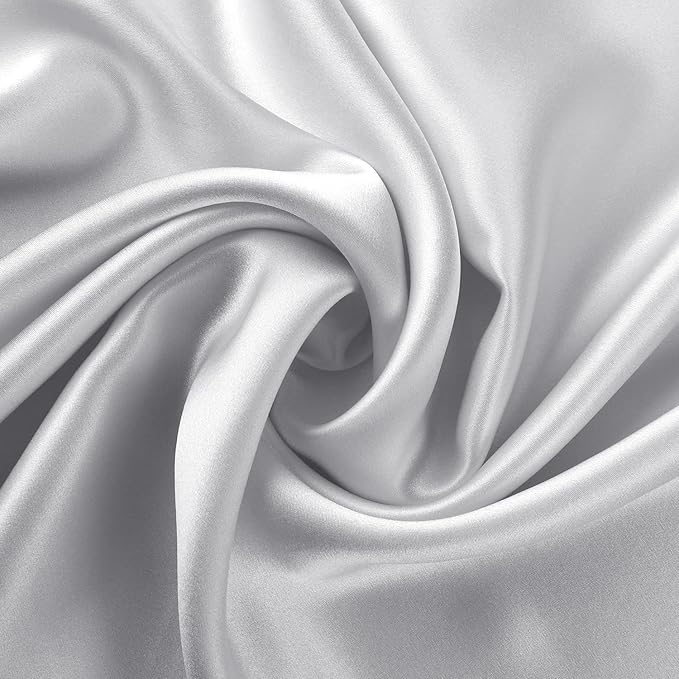 ALASKA BEAR Silk Pillowcase for Hair and Skin, Set of 2 Pure Genuine 22 Momme Mulberry Silk Pillow Cases Queen Size for Bliss Sleep Better Than Poly Satin, Zipper Closure(2pc,Silver)