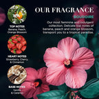 Baylis & Harding Boudoire Tropical Paradise Luxury Hand Care Gift Set - Vegan Friendly