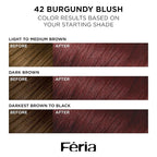 L’Oreal Paris Feria Multi-Faceted Shimmering Permanent Hair Color, High Intensity Hair Dye for 3X Highlights, 42 Burgundy Blush, 1 Hair Dye Kit