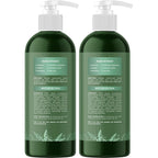 Clarifying Shampoo for Oily Hair and Scalp - Deep Cleansing Shampoo Build Up Remover with Rosemary Oil - Degrease Shampoo for Greasy Hair & Scalp - Vegan Color Safe Sulfate & Paraben Free (2 Pack)
