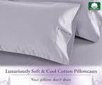 California Design Den King Size Pillow Cases Set of 2-1000 Thread Count, Soft and Smooth Sateen Weave, 100% Cotton Pillow Cover, Thick and Durable - Lavender Grey