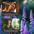 Clary Sage Essential Oil – Pure and Natural Clary Sage Aroma for Diffusers, Aromatherapy, Hair and Scalp Care, Skin Care, Massage Oils, Soap and Candle Making – with Dropper, 4 oz