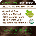 100% Organic Henna Hair Color – Natural, Chemical-Free Hair Dye for Rich, Vibrant Color & Gloss – Grey Coverage, Safe for All Hair Types, Vegan Non-Toxic, Herbal Hair Treatment (DARK BROWN)