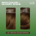 Clairol Natural Instincts Demi-Permanent Hair Dye, 5G Medium Golden Brown Hair Color, Pack of 1