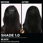 Garnier Hair Color Olia Ammonia-Free Brilliant Color Oil-Rich Permanent Hair Dye, 1.0 Black, 2 Count (Packaging May Vary)