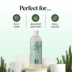 Clarifying Shampoo for Oily Hair and Scalp - Degrease Deep Cleansing Shampoo Build Up Remover with Rosemary Oil for Greasy Hair & Scalp - Vegan Color Safe Sulfate Paraben & Cruelty Free (12 Fl Oz)