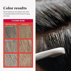 Just For Men Easy Comb-In Color Mens Hair Dye, Easy No Mix Application with Comb Applicator - Sandy Blond, A-10, Pack of 1