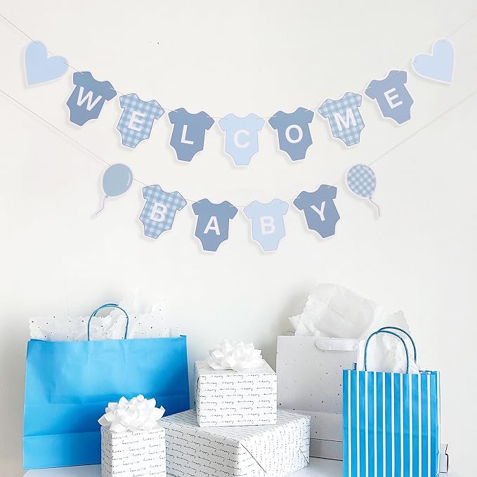 Blue Gingham Baby Shower Banner - Image 4