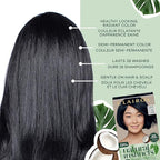 Clairol Natural Instincts Demi-Permanent Hair Dye, 4W Dark Warm Brown Hair Color, Pack of 2