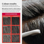 Just For Men Easy Comb-In Color Mens Hair Dye, Easy No Mix Application with Comb Applicator - Rich Black, A-65, Pack of 1