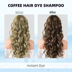 Ivnil Coffee Hair Dye Shampoo 3 in 1 Instant Color for Grey Coverage Seimi Permanent for Women/Men (Coffee)