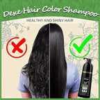 Dexe Hair Dye Shampoo 14.1 Fl Oz, Gray Hair Coverage, Black Hair Dye, Hair Color Shampoo, Black Hair Shampoo for Men & Women