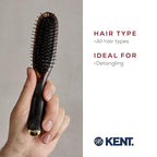 Kent Headhog Detangler Brush, Anti Static HairBrush with Rounded Nylon Bristles for All Hair Types, Travel Brush with Ergonomic Rubber Grip for Easy Styling