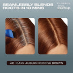 Clairol Root Touch-Up by Nice'n Easy Permanent Hair Dye, 4R Dark Auburn/Reddish Brown Hair Color, Pack of 2