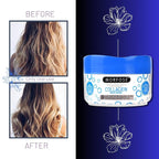 Morfose Professional Milk Therapy Hair Mask for Dry, Damaged, or Brittle Strands, 12 Essential Amino Acids, and Proteins, Fuller Healthier, Softer look, (large, 16.9 Fl Oz) (Collagen)
