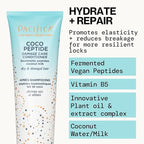 Pacifica Coco Peptide Damage Care Shampoo & Conditioner Set – Repairing Hair Care for Dry Damaged Hair Vegan Collagen & Peptides for Split Ends & Breakage Sulfate Free Clean Vegan Dermatologist Tested