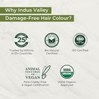 Indus Valley Organic Damage Free Gel Hair Color | Gray Coverage of Resistant Gray Hairs - Ammonia-Free & Vegan - Salon Influenced Hair Dye | Permanent Hair Dye For Women, Black 1.0, 8.45 fl. oz.