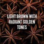 Madison Reed Radiant Hair Color Kit - 7NGV Light Golden Brown (Lucca Brown), Dimensional Gray Hair Blending Permanent Hair Dye, PPD-Free & Ammonia-Free, 1 Pack