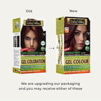 Indus Valley Natural Organic Damage Free Gel Hair Color | Ammonia Free, Vegan & Cruelty Free | Up to 100% Gray Coverage, Long Lasting Results |Burgundy 3.6 (20gram+200ml)