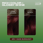 Clairol Natural Instincts Demi-Permanent Hair Dye, 4RV Dark Burgundy Hair Color, Pack of 3