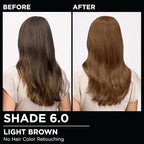 Garnier Hair Color Olia Ammonia-Free Brilliant Color Oil-Rich Permanent Hair Dye, 6.0 Light Brown, 1 Count (Packaging May Vary) (Pack of 2)